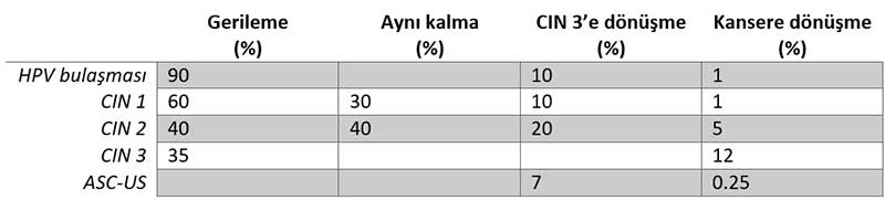 CIN seyri