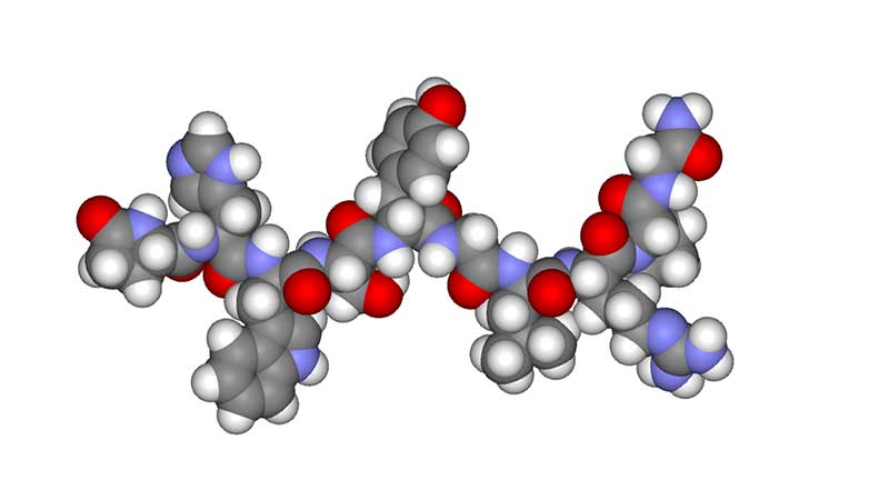 hCG molekülü