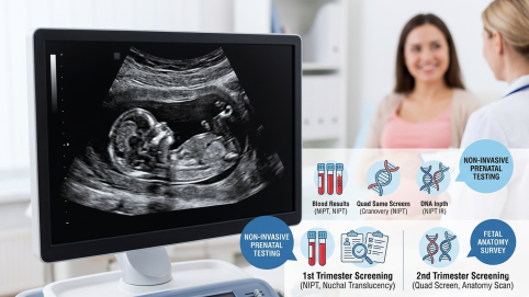 Gebelik takibinde prenatal tarama ve tanı testleri uygulayan kadın hastalıkları ve doğum uzmanı ile hamile hasta.