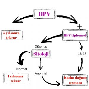 HPV algoritması